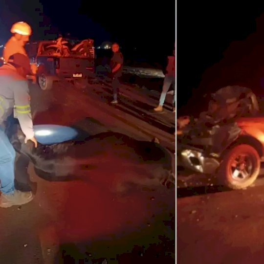 Rio Brilhante - Caminhonete colide e mata seis vacas que estavam em rodovia