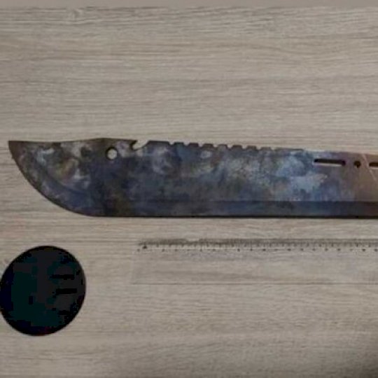 Idosa com deficiência intelectual é ameaçada de morte com facão pelo marido em Guia Lopes