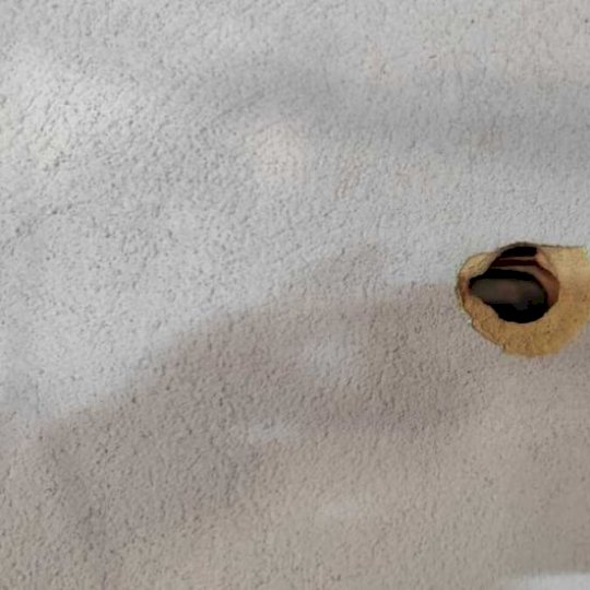 Jovem é baleado dentro de casa em Guia Lopes da Laguna