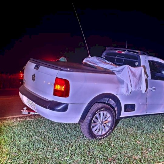 Homem morre atropelado em rodovia junto com cachorro de estimação