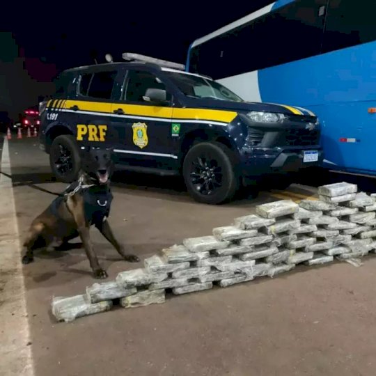Operação prende 28 bolivianos com 235 quilos de cocaína no estômago