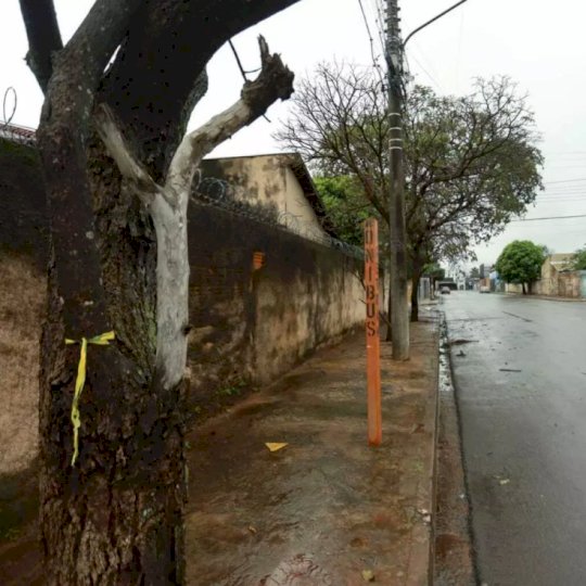 Homem é morto e tiros perto de tabacaria