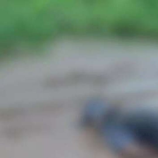 Homem morre ap&oacute;s sofrer convuls&atilde;o e ficar com rosto submerso na lama