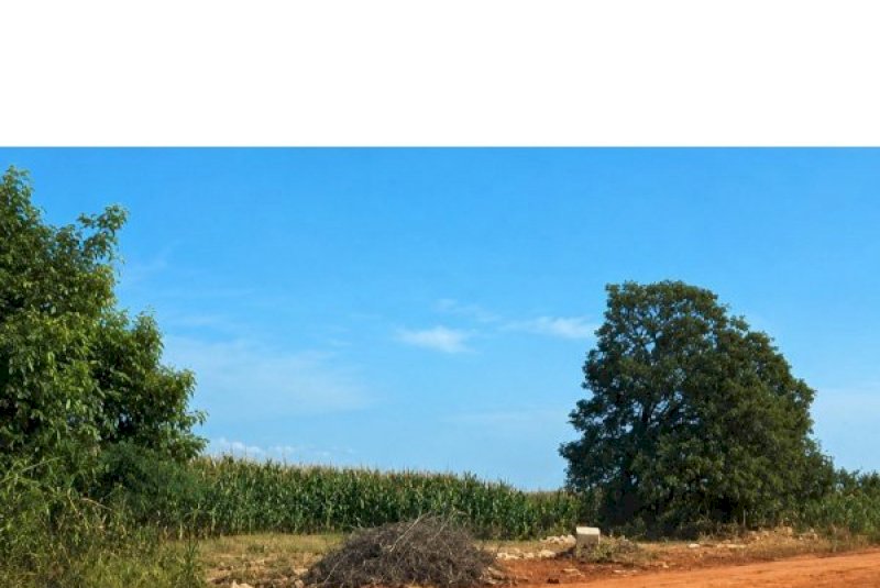 Zé Teixeira articula pavimentação em Dourados e mais saneamento em Laguna Carapã