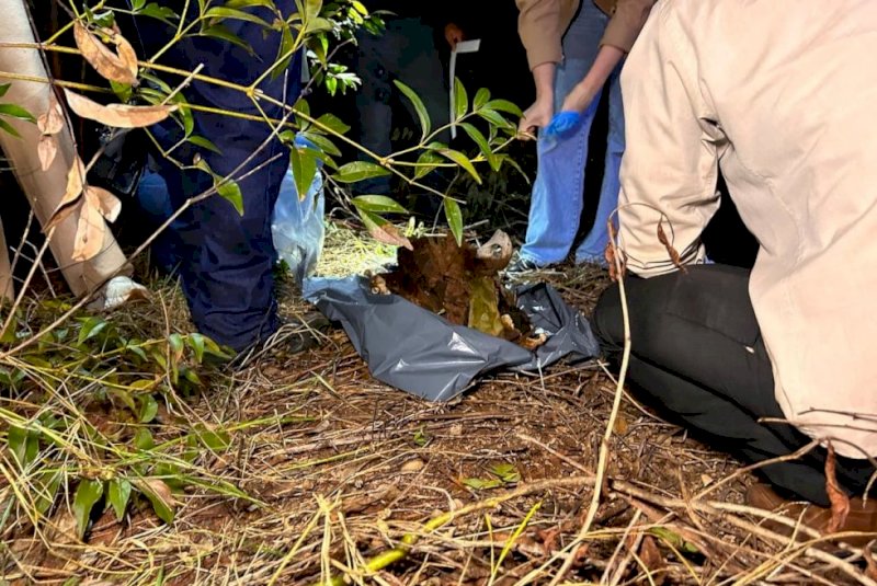 Ossada é encontrada em fazenda e pode ser de homem desaparecido há 3 anos