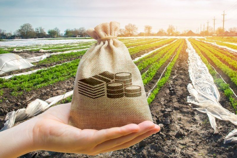 Crédito rural eleva demanda por proteção