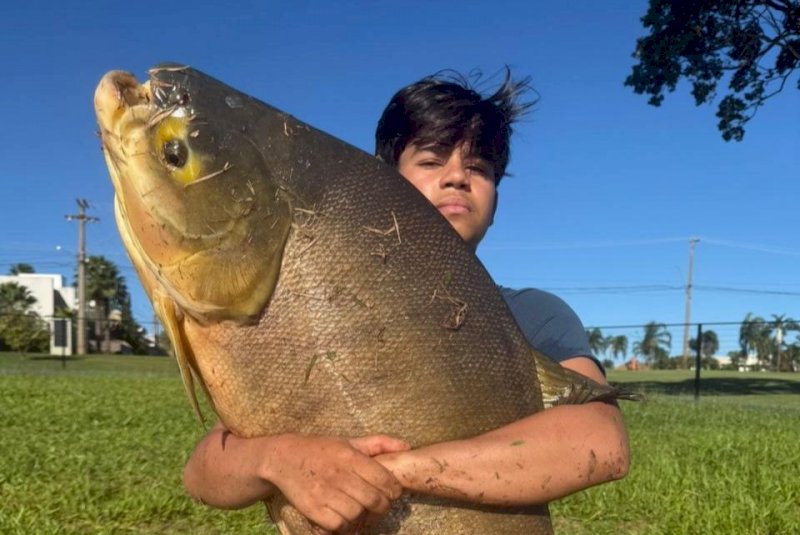 Menino de 12 anos fisga tambacu de 40 quilos após 40 minutos de luta