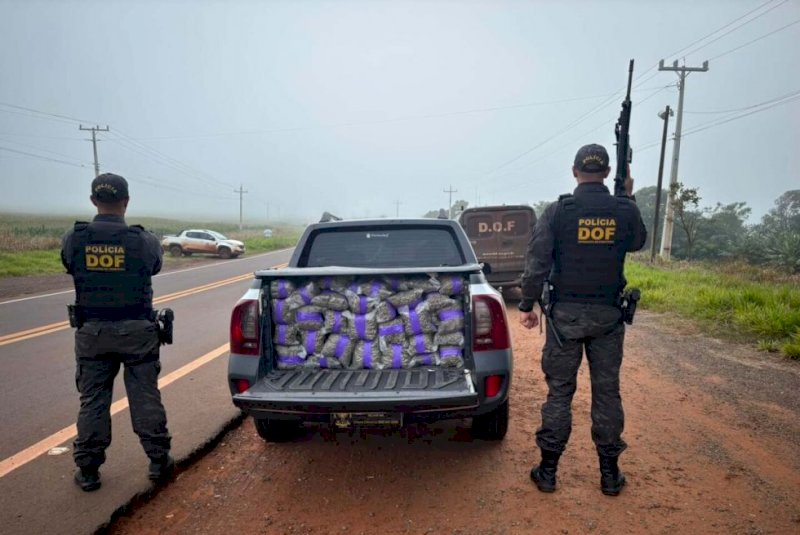 "Estou carregado", diz motorista antes de polícia encontrar 685 quilos de drogas