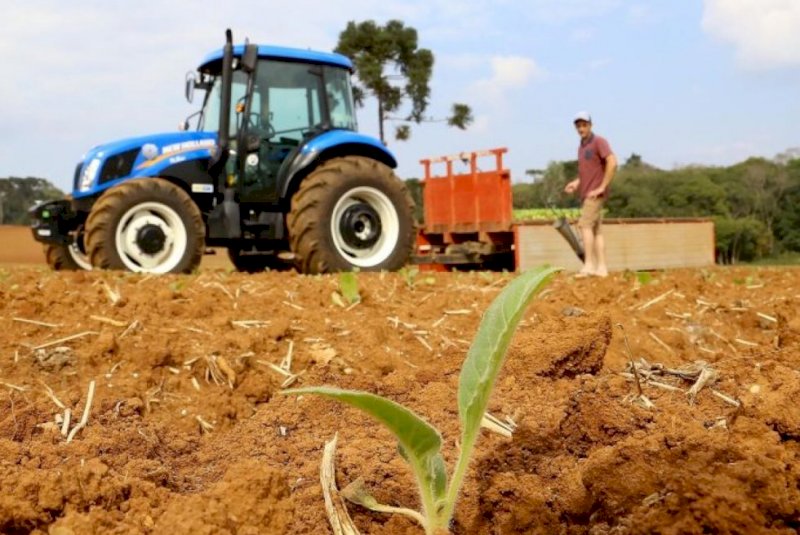 MP cria linhas de crédito para produtores rurais afetados pelo clima e pela queda de preços