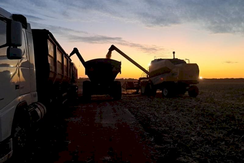 Colheita do milho avança e chega a 63,9% da área monitorada pelo Projeto SIGA-MS