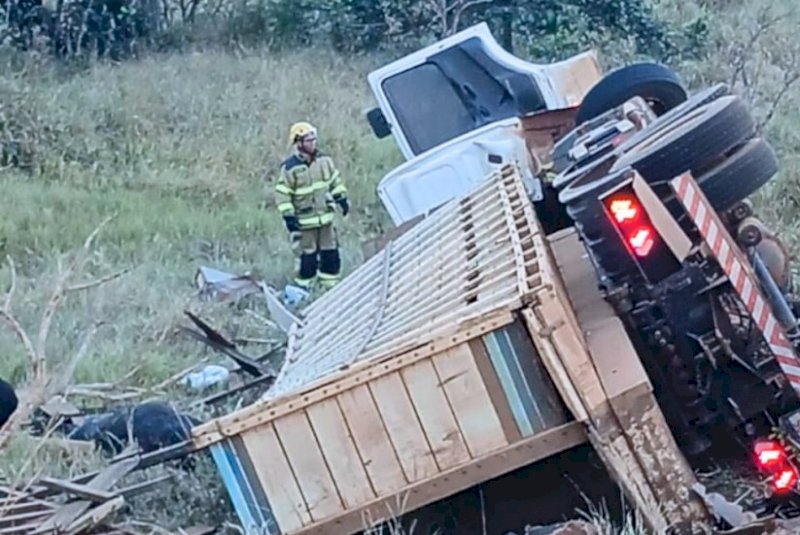 Caminhão com gado tomba e motorista morre na GO-050