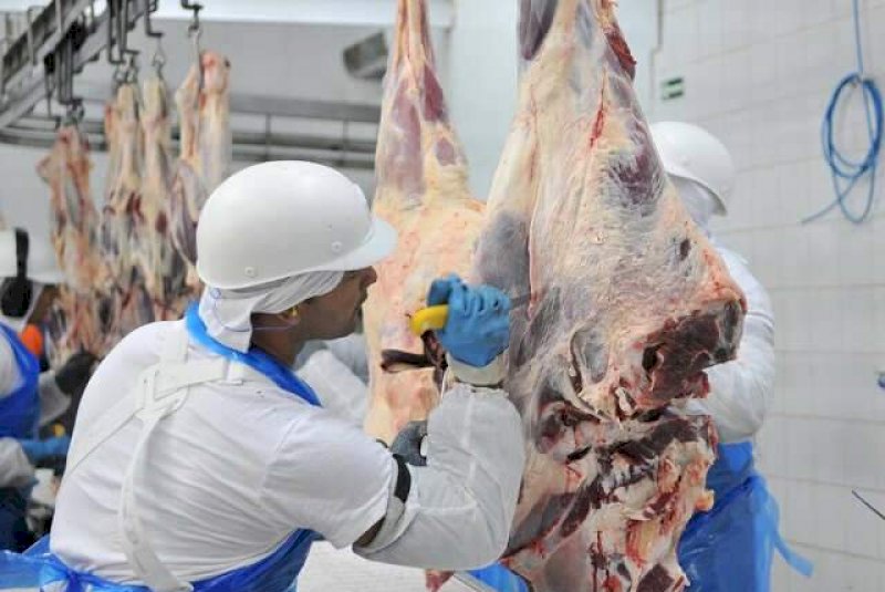 Ind&uacute;stria frigor&iacute;fica dobra empregos e multiplica por 12 receita das exporta&ccedil;&otilde;es