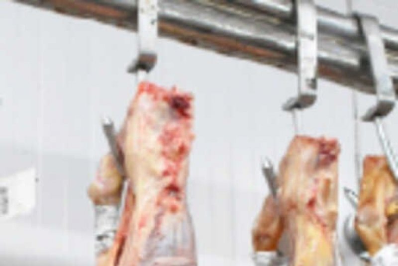 Exportações de carne bovina crescem 42,6% em sete meses