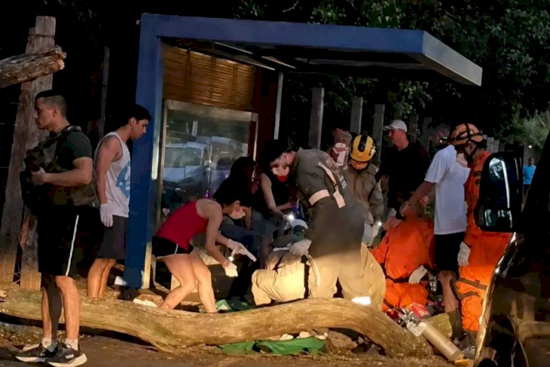 Jovem morre após ser atingida na cabeça por queda de árvore