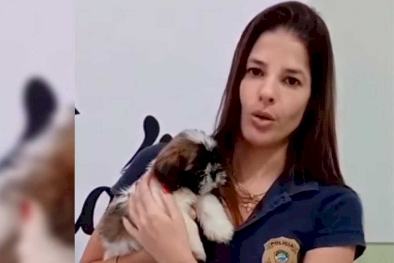 Mulher é presa por maus-tratos contra cachorrinha em Aquidauana (vídeos)