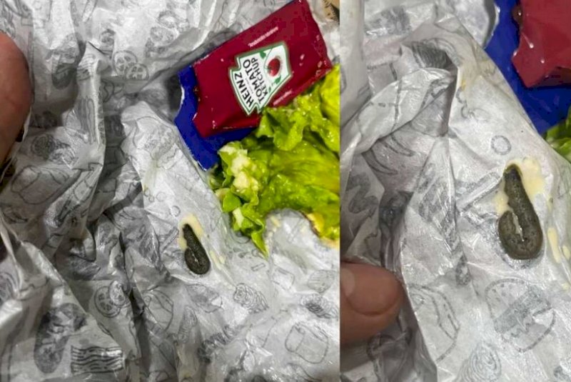 Cliente encontra lagarta em lanche no Nova Lima