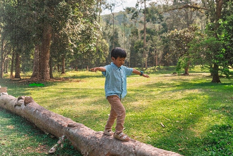 Nova lei federal garante direito de crianças à natureza e fortalece fiscalização nos municípios