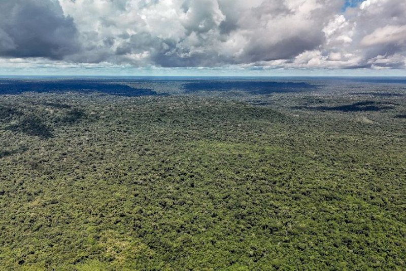 Devastação na Amazônia pode quebrar maior "máquina de chuva" do mundo