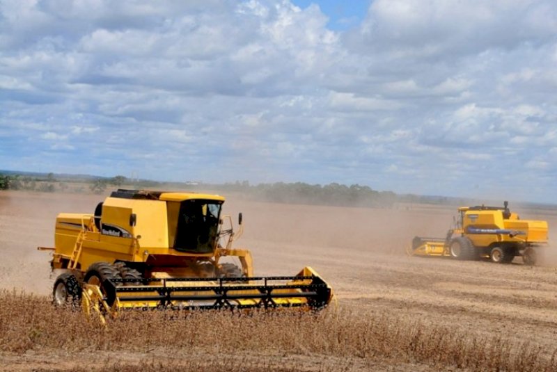 Sidrolândia tem dois casos de recuperação judicial no agro, com dívidas de R$ 43,8 milhões