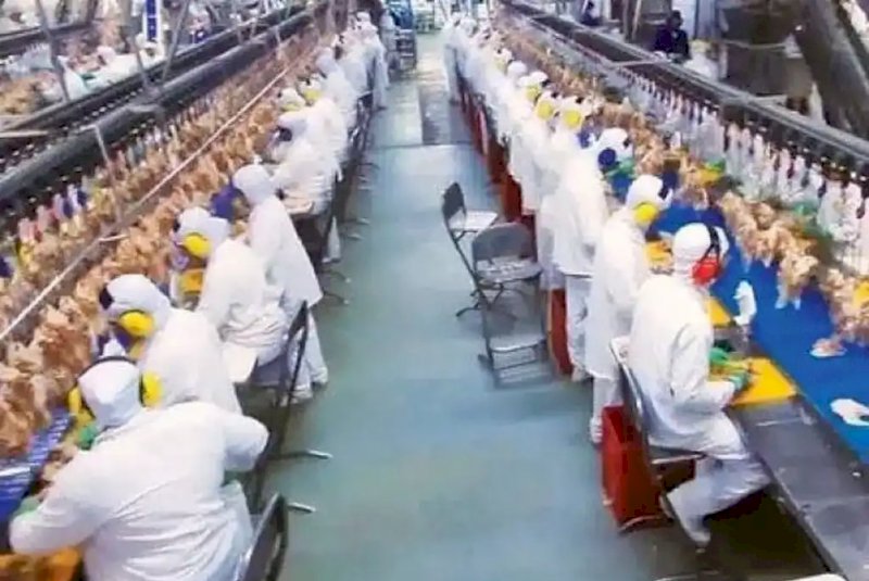 Carne e soja puxam alta dos pre&ccedil;os industriais e acendem alerta em MS