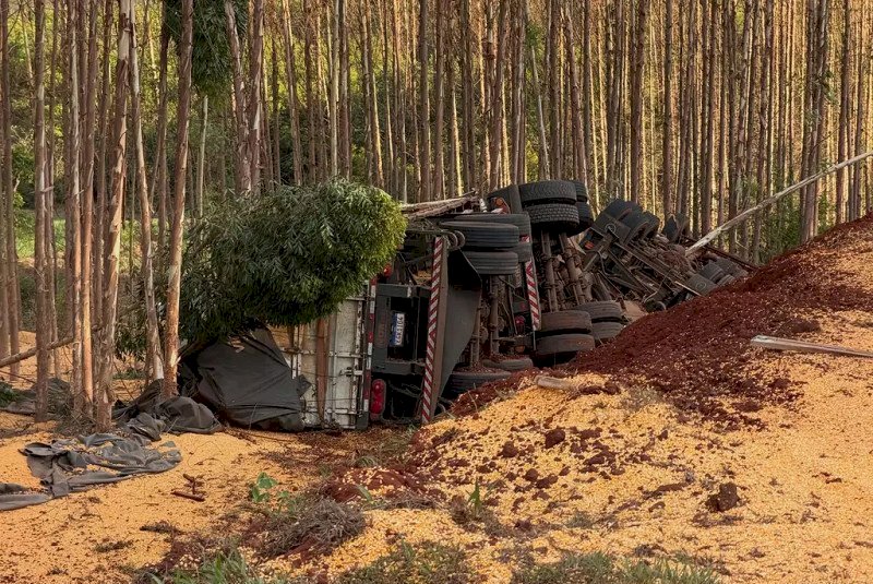 Motorista morre preso às ferragens após carreta com milho tombar na MS-388