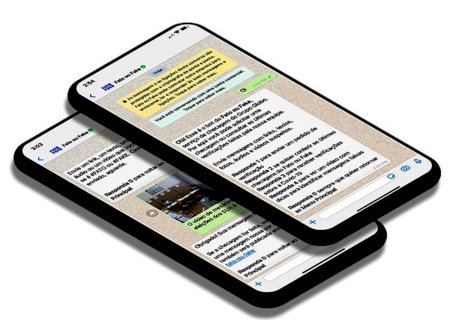 Fato ou Fake lança bot exclusivo para checar conteúdos duvidosos