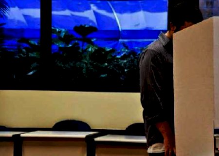‘Revoltados’, candidatos que receberam poucos votos viram memes nas redes sociais