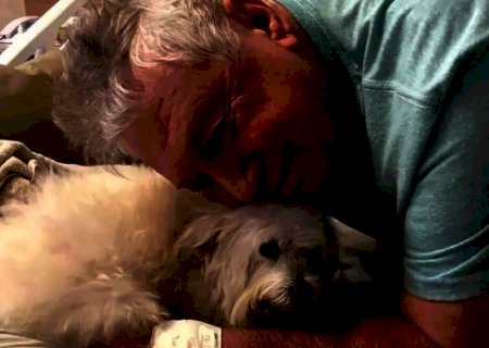 Cachorro fez greve de fome e só comeu após visitar dono em hospital em MS