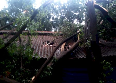 Vendaval causa prejuízo a dono de aviário no município de Itaporã