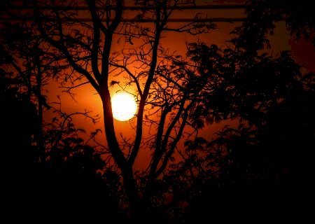 Domingo tem previsão de sol, tempo seco e calor de até 42ºC em MS