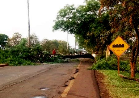 Inmet alerta para vendaval com ventos de 60 km/h em Itaporã
