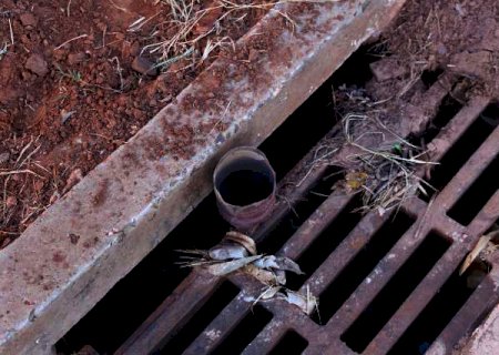 Duas cidades de MS enfrentam surtos de Chikungunya e Zika