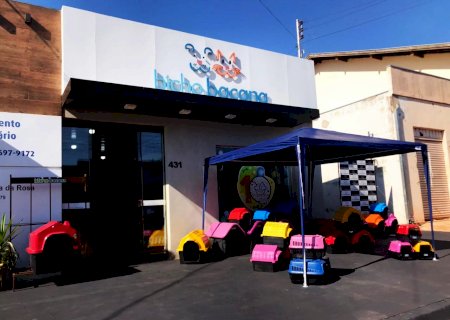 Pet Shop Bicho Bacana de Itaporã comemora 10 anos neste mês de novembro