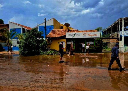 Temporal derruba ao menos 15 árvores em Bonito