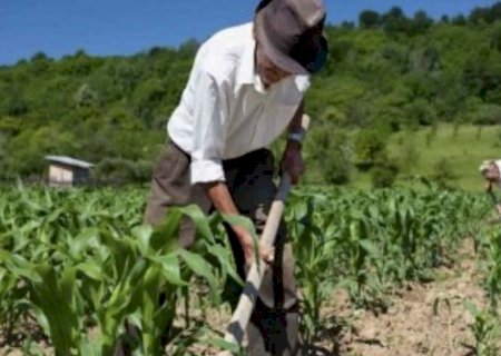 É trabalhador rural? Saiba como comprovar o tempo de serviço para assegurar a aposentadoria