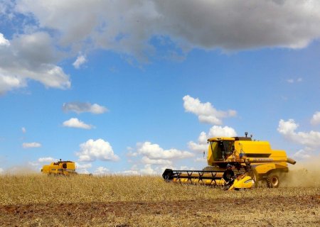 Colheita de soja atinge 33% da área cultivada no Brasil, diz consultoria