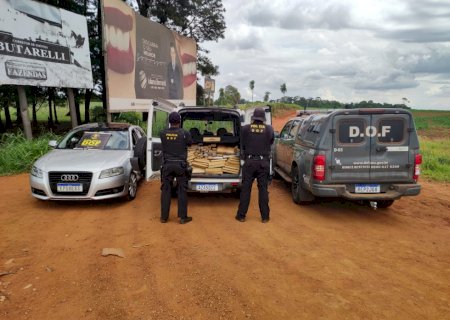 DOF apreende 320 quilos de maconha na MS-386 (Vídeo)