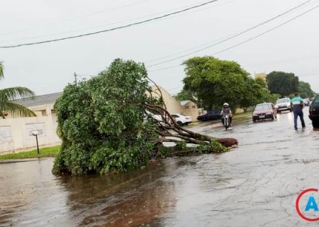 Chuva com vendaval provoca alagamentos e causa danos em Amambai