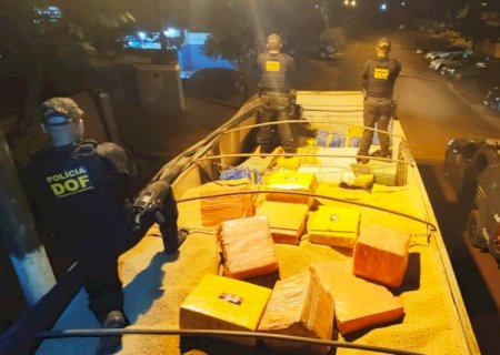 DOF apreende mais de 7.2 toneladas de maconha próxima à Linha Internacional em Ponta Porã (Vídeo)