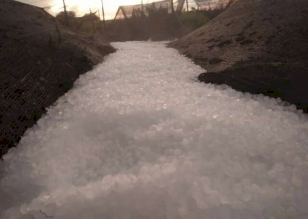 Chuva com um "palmo de granizo" destr&oacute;i planta&ccedil;&otilde;es e destelha casas na fronteira