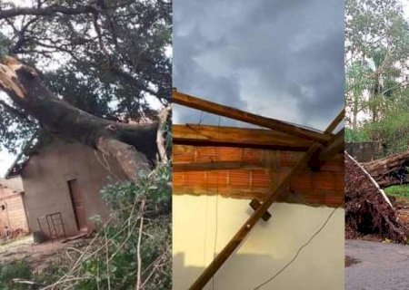 De casas destelhadas a queda de árvores: temporal deixou rastro de destruição em Miranda