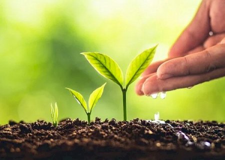 Ministério registra novos defensivos agrícolas para controle de pragas