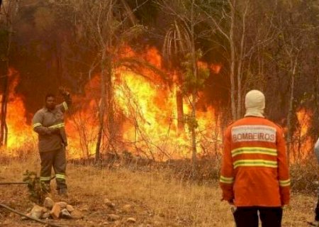 Destrui&ccedil;&atilde;o por inc&ecirc;ndios no Pantanal cresce em 2022 e seca deve piorar situa&ccedil;&atilde;o