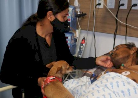 Cachorra Lalá viaja quase 60 km para visitar dono internado na Santa Casa de Campo Grande