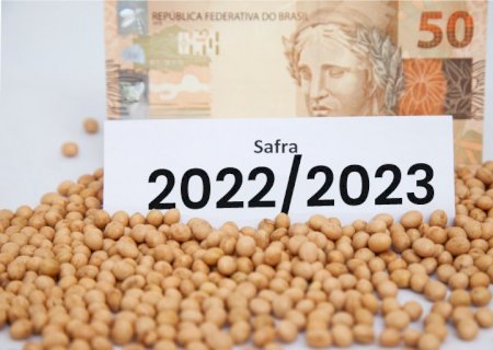 Qual a expectativa de custo para o produtor de soja na nova safra?