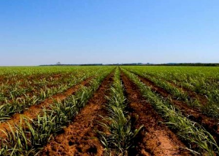 Definidas datas da maior feira do setor sucroenerg&eacute;tico de Nova Alvorada do Sul
