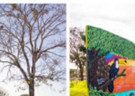 Reforma da Praça Central garante lazer e entretenimento para famílias em Maracaju