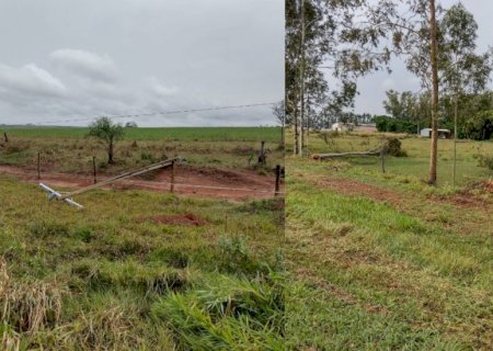 Vendaval derruba 15 postes de energia, árvores e deixa cidade de MS sem luz elétrica