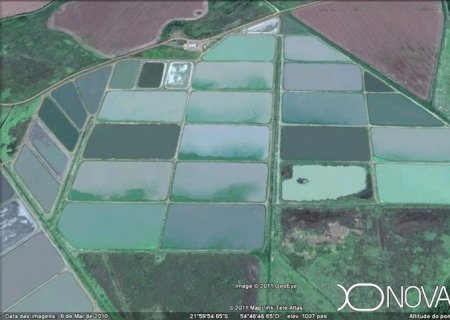 MS deve atingir 55 mil toneladas de pescado produzido em 2022