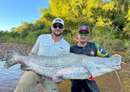 Dupla pesca 11 pintados em um só dia em rio de MS